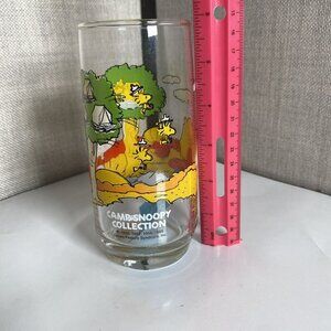 RARE‎ McDonald Camp Snoopy Peanuts Collection Charlie Brown